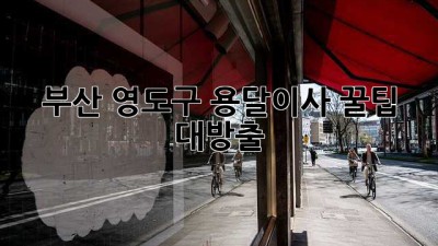 부산 영도구 용달이사, 꿀팁 대방출!